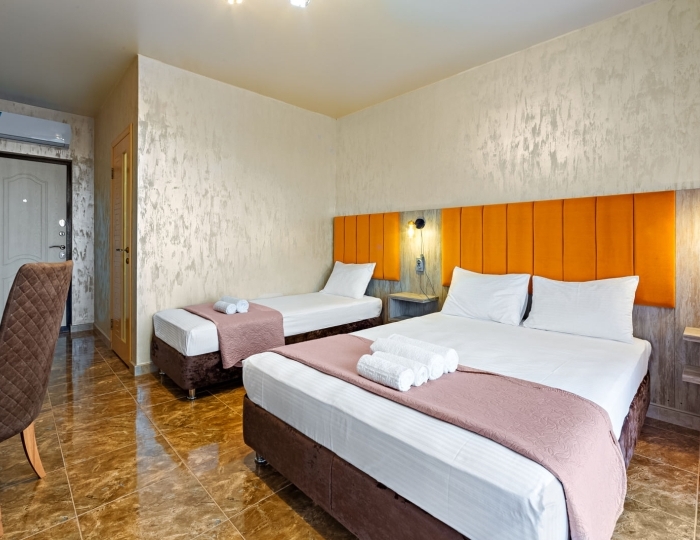 Улучшенный 3-местный 1-комн улучшенный люкс с лоджией 3 этаж - Отель Eco Life / Эко Лайф Цандрипш